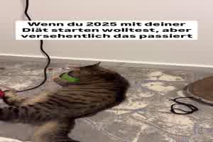 Versehentlich an den Napf gefallen