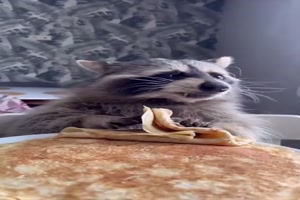 Das schmeckt