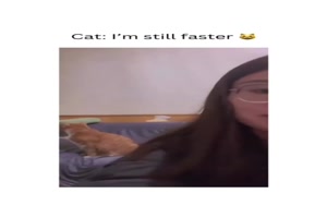 Die Katze ist schneller