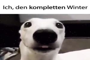Ich den kompletten Winter