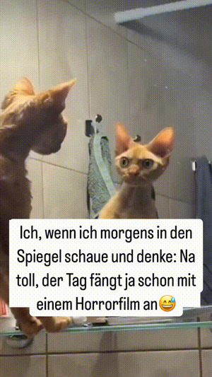 weiter