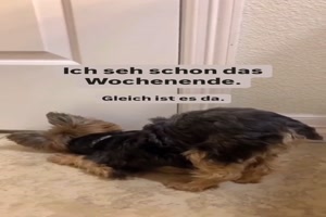 weiter