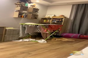 Katze hilft beim Wsche abhngen