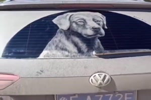 Ich wrde nie wieder das Auto waschen