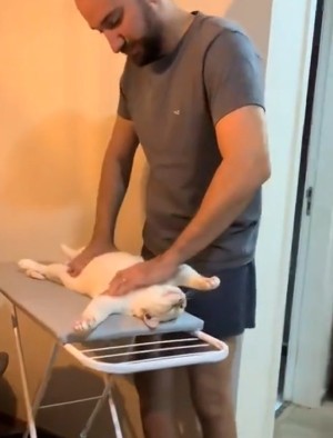 Das gefllt der Katze