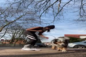 Hund und Kamera