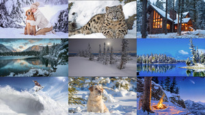 klicke hier, um die Datei herunterzuladen Winter 41