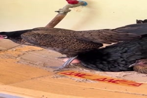 Das ist jetzt mein Ei