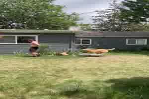 Er h�rt noch nicht zu gut