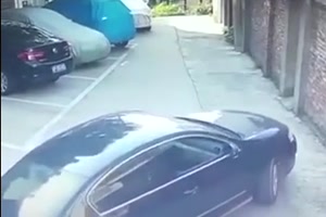 Profi-Autofahrer
