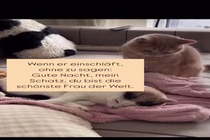 Das geht ja auch gar nicht