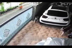 Vom Regen in die Traufe
