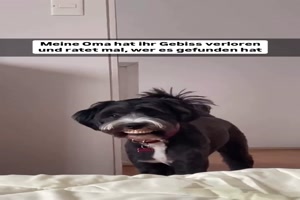 weiter