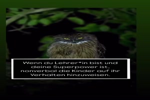 weiter