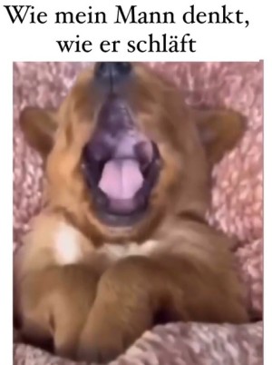 So schlft er wirklich