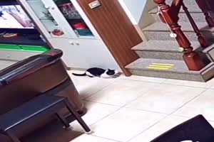 Wie du mir so ich dir