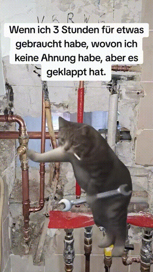 weiter