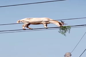 Essen auf h�herer Ebene