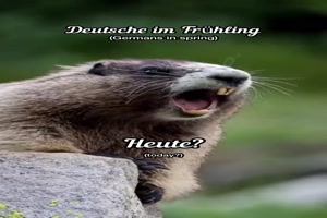 weiter