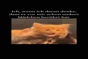 weiter