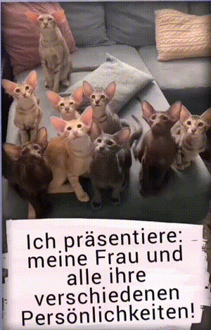 weiter