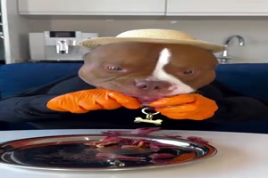 Das war lecker