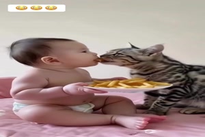 Pommes essen mit der Katze