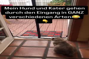 weiter