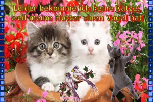 Mutter hat einen Vogel
