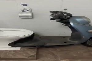 Lustige Toilette