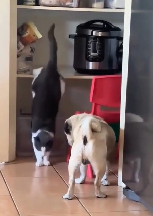 Ich hab uns was besorgt