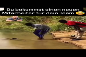 Das macht echt Sinn