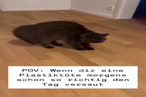 weiter