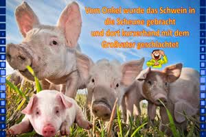 der arme Gro�vater