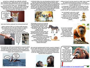Die Sprache der Tiere