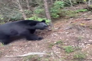 Nervenkitzel beim Sommerrodeln