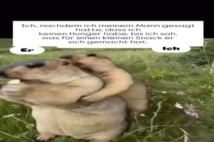 gib mir auch was