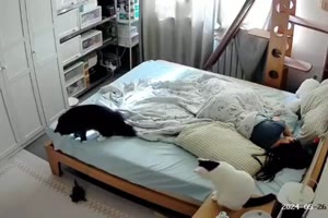 Immer muss man nach den Kleinen sehen