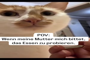 weiter