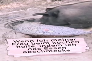 Meine Frau