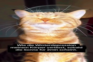 weiter