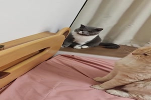 Da kann einem ja schlecht werden