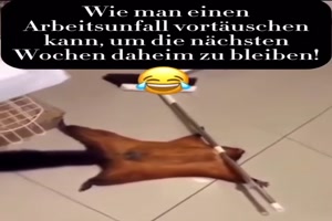 weiter