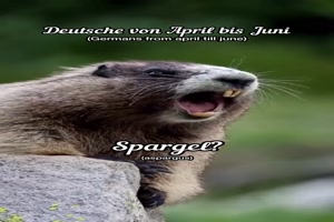 Es ist Spargel-Saison