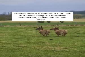 Los gehts
