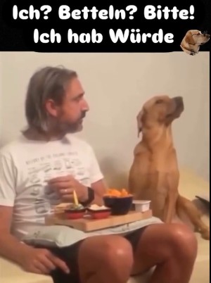 Ich bettel doch nicht