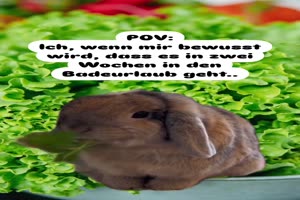 weiter