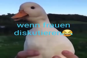Wenn Frauen diskutieren