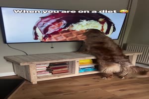 Wenn du auf Dit bist