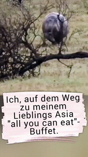 weiter